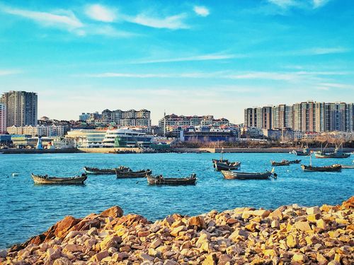 冬日海边小麦岛——青岛
