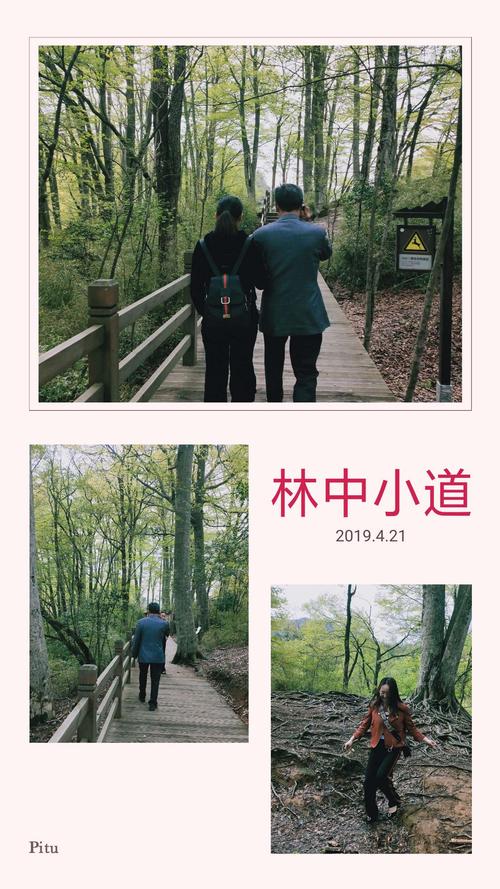 漫步康寿大道