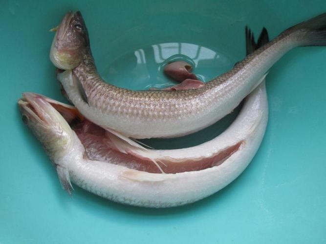 第一步:把海梭鱼买回来之后,去鳞去内脏,清洗干净.