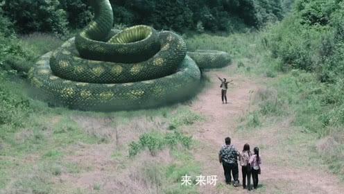 国产版《狂蟒之灾》,天上下" b>食人鱼 /b>",地上爬大蟒蛇!人遭殃了