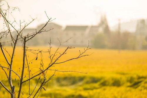 【海盐验客】我的盐系旅行两天一夜海盐手绘