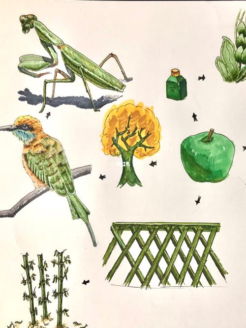 图形创意|关于苹果的联想 创意思维_苹果_联想怎么样