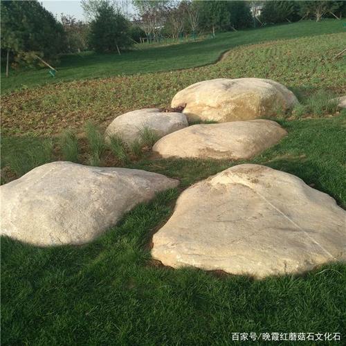 草坪石 景观置石使园林绿化更加生动