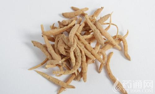 太子参真伪鉴别
