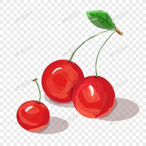 夏季水果樱桃手绘插画素材