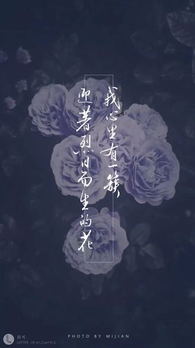 默读- 堆糖,美图壁纸兴趣社区