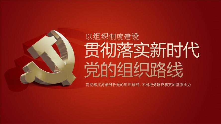 以组织制度建设贯彻落实新时代 党的组织路线.pptx 28页