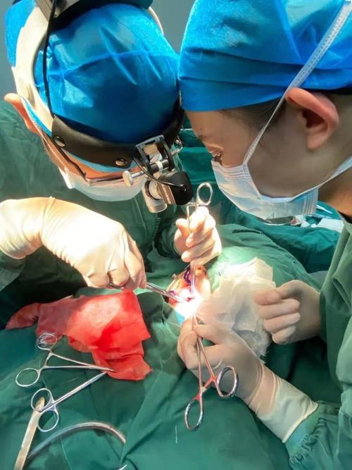 【医讯】新蔡同安医院口腔科顺利完成一例舌下腺囊肿摘除术 舌下腺