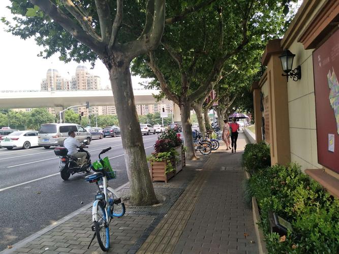 在繁忙的沪闵路南端莲花路上.