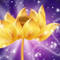 微信金色莲花头像大全 寓意金光闪闪佛教莲花头像【点击鼠标右键下载