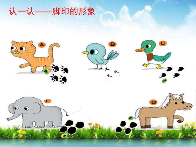 知道哪些动物的脚印呢?