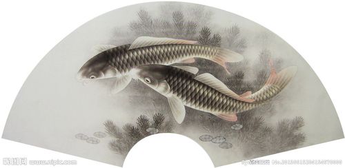 工笔鲤鱼设计图__绘画书法_文化艺术_设计图库_昵图网