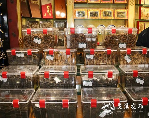 全国媒体记者来苍采风 首站探访灵溪"无中生有"的参茸市场