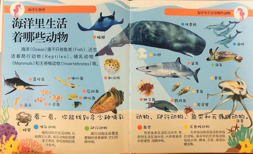 《海洋生物秀》: 小知识,大玩法