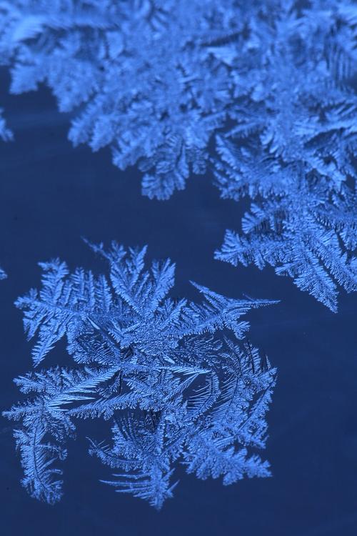 微距摄影冰凌窗花2