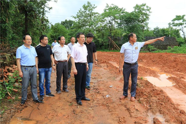 朱小兵到徐桥,新仓等地督查退宅还耕工作 -太湖新闻网