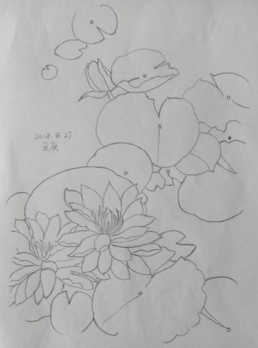 学画画(三)——花花世界