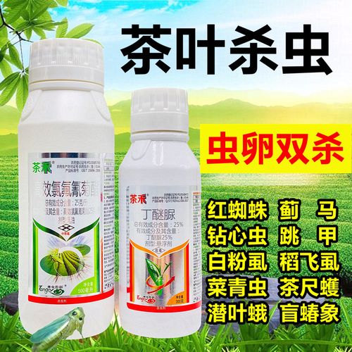 茶树茶叶杀虫剂丁醚脲农药店氯氰氟菊酯高效大全茶小绿叶蝉白飞虱