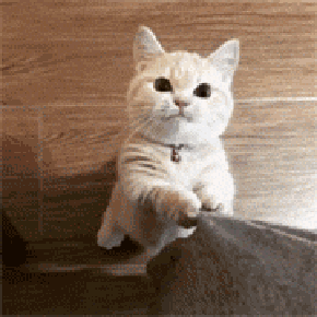 diy斗图表情 我要抱抱  编辑使用方法信息 字体 字号 颜色 1