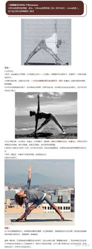 艾扬格体式一二