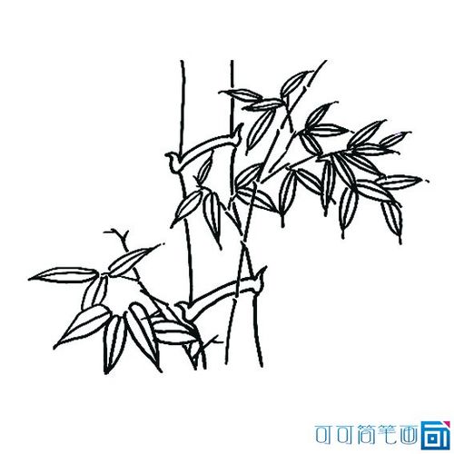 幼儿园老师教竹子的简笔画画法