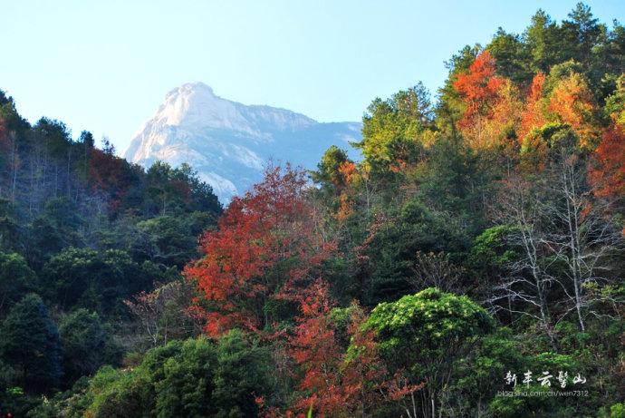 新丰云髻山2011年枫景