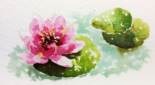 ( __)ノ|原创水彩荷花