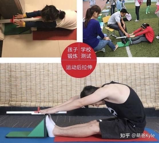 儿童柔韧度,尤其是坐位体前屈怎样科学提高?|肌肉|直腿_网易订阅
