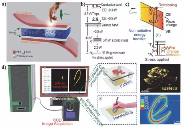 出色的压电特性, 在可穿戴柔性电子传感器领域显示出了广阔的应用前景