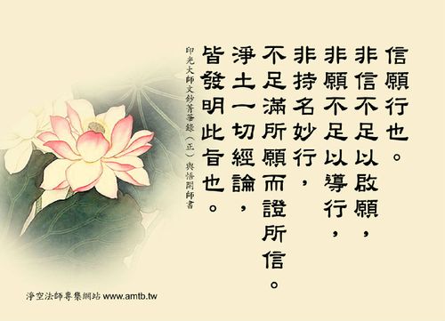 佛教智慧图片佛教电脑桌面佛教智慧法语