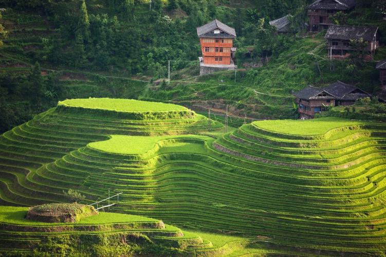 桂林龙胜龙脊梯田壁纸图片