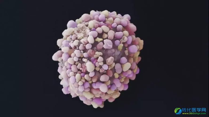 这两个研究有可能动摇「癌症登月计划」,细思恐极