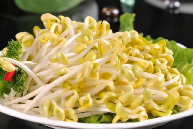 黄豆豆芽和绿豆豆芽,哪一个更好吃? 萝卜白菜,各有所好吧.