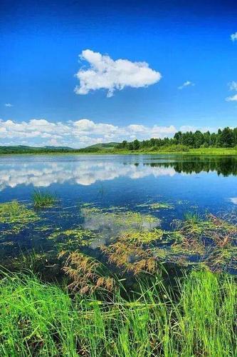 感悟人生远处是风景近处才是人生