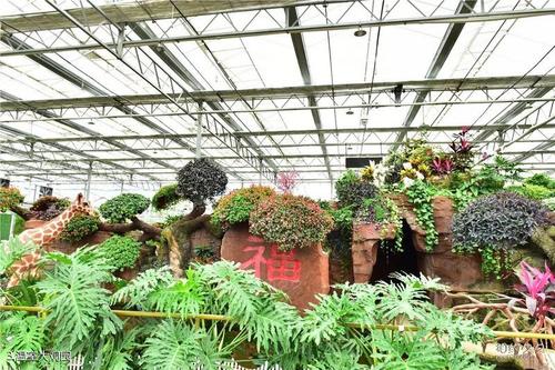万州同鑫蔬菜大观园旅游攻略之温室大观园3共5页