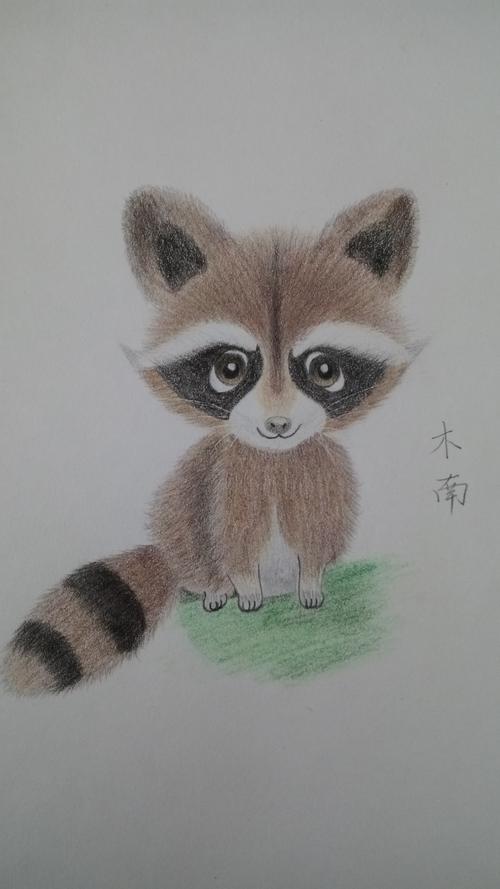 彩铅浣熊