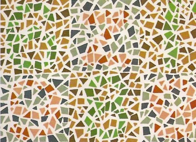 几张色觉测试图,想要考驾照,就要能够识别出来|色弱