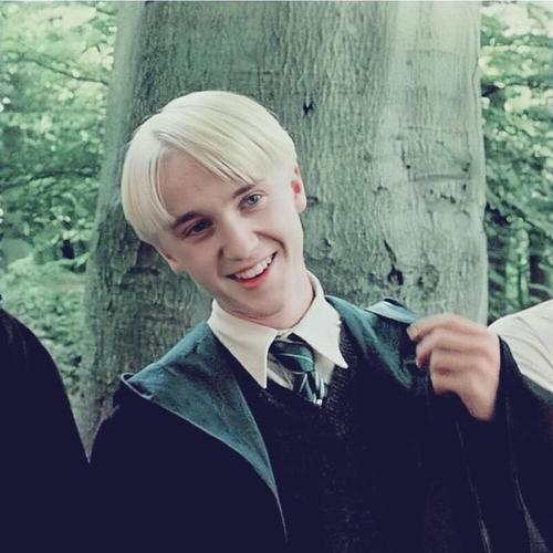 哈利波特:德拉科·马尔福真人头像