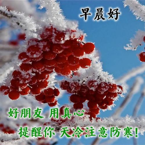 冬天超暖心早上好问候祝福唯美图片顺心如意的早安祝福