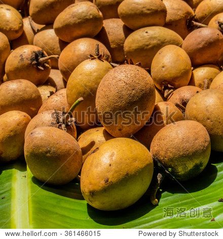this is sapodilla plum of thailand