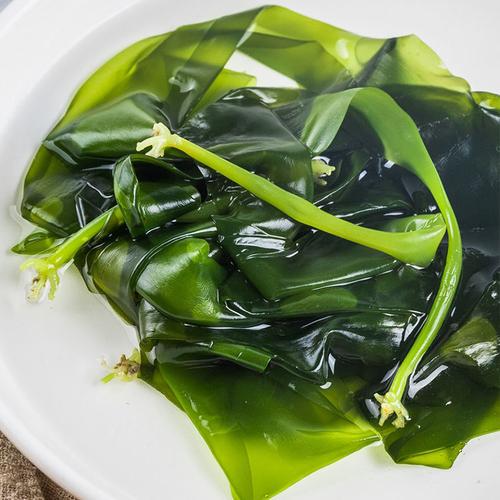 新鲜海带嫩苗盐渍1斤小海海藻干货特级火锅海带