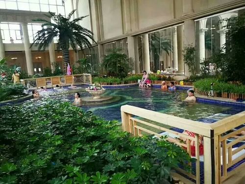 1月20～21日盘锦五星级沁温泉来啦