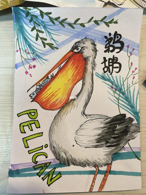 鹈鹕_美术_少儿美术_文化_绘画