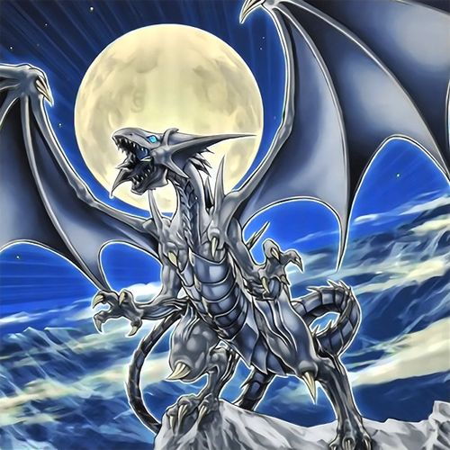 白龙究竟有什么魅力,一而再,再而三创造热点,欢迎程度