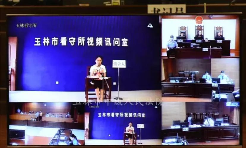 公开审理,被害人,被告人,李凤萍,玉林市,玉林,故意杀人罪