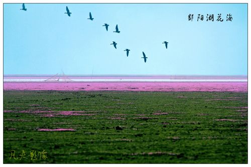 多彩鄱阳湖