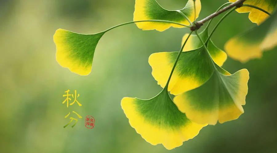 看星闻今日秋分图片大全秋分发朋友圈的唯美句子