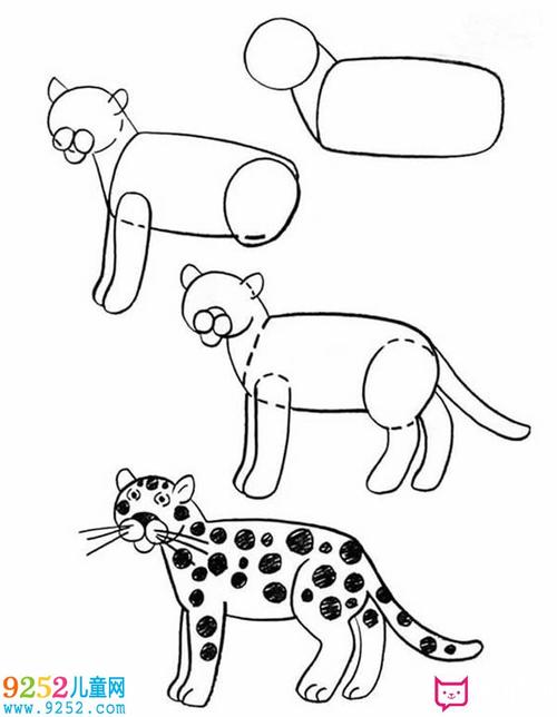 猎豹简笔画画法 豹子简笔画