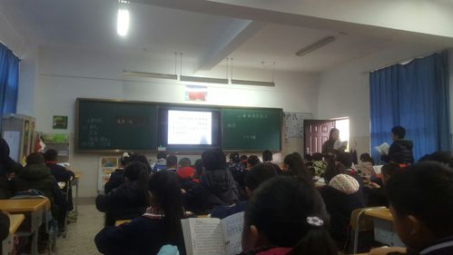 充满活力的楚雄开发区实验小学