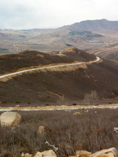 内蒙古自治区赤峰市元宝山区内环北路靠近幸福里宠物